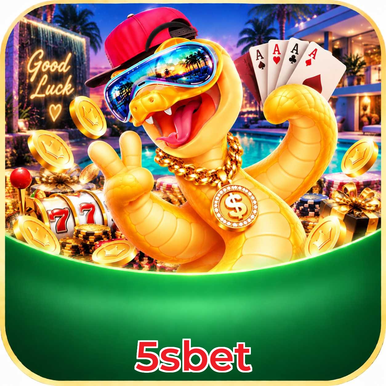 5sbet em números - plataforma líder no Brasil desde 2020